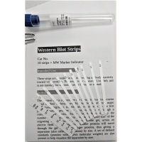 Epstein-Barr Virus Western Strips (ICE) - 10/tube + MW Marker 